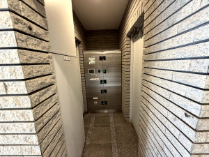 江東区亀戸、マンションの画像です