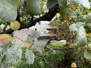 江東区東砂、マンションの外観画像です
