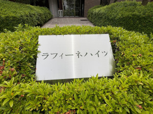 江東区亀戸、マンションの外観画像です