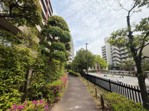 江東区大島、マンションのその他環境写真画像です