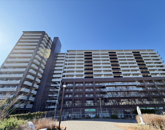 江東区亀戸、マンションの外観画像です
