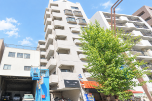 江東区平野、マンションの外観画像です