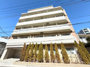 江東区亀戸、マンションの外観画像です