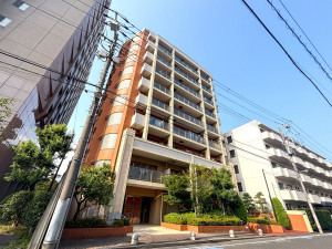 江東区冬木、マンションの外観画像です