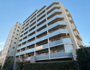 江東区猿江、マンションの外観画像です