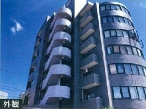 名古屋市緑区漆山、マンションの外観画像です