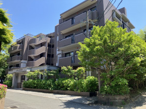 福岡市中央区赤坂、中古マンションの外観画像です