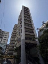 福岡市中央区荒戸、中古マンションの外観画像です