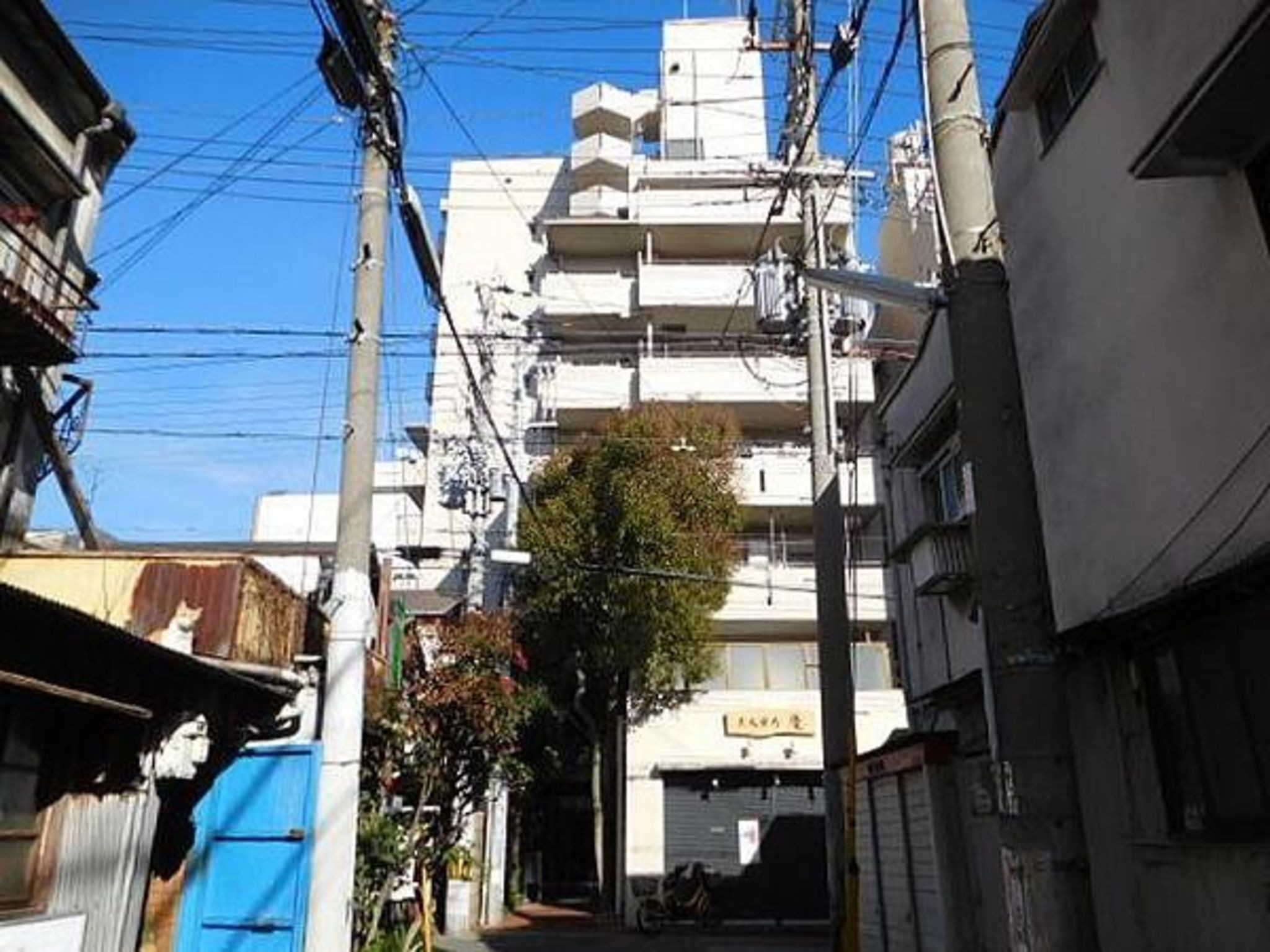 朝日プラザ西上橘通神戸市兵庫区西上橘通1丁目412｜マンション詳細｜神戸市中央区の不動産情報なら、REC+（レクタス）神戸