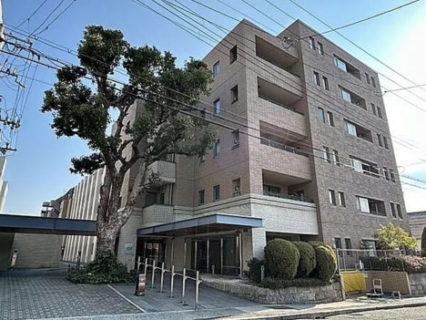 ディアエスタ・ミオ住吉壱番館中古マンション