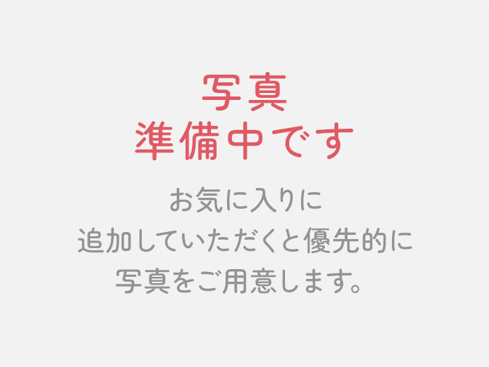 写真準備中です。お気に入り追加していただくと優先的に写真をご用意します。