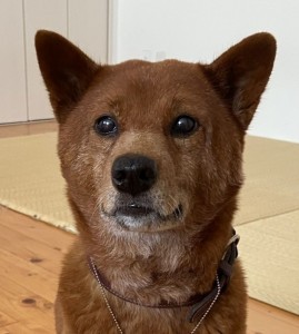 説田昌代