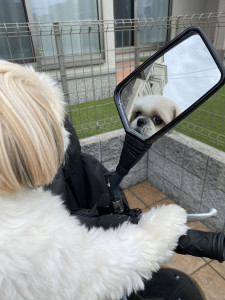 金田